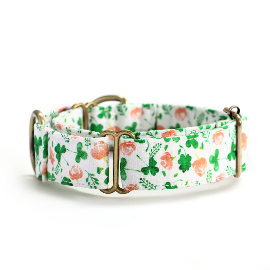 100% Cotton Martingale Dog Collar Brass Clovers front