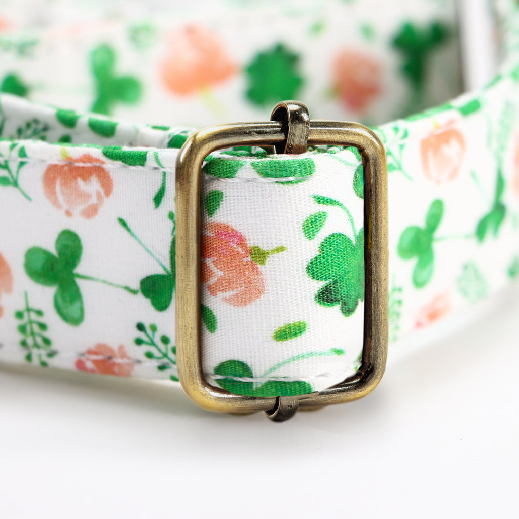100% Cotton Martingale Dog Collar Brass Clovers hardware