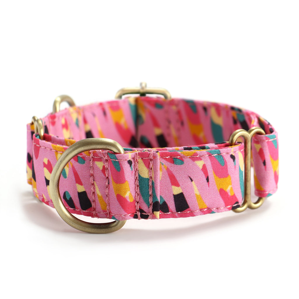100% Cotton Martingale Dog Collar Brass  Zebra front