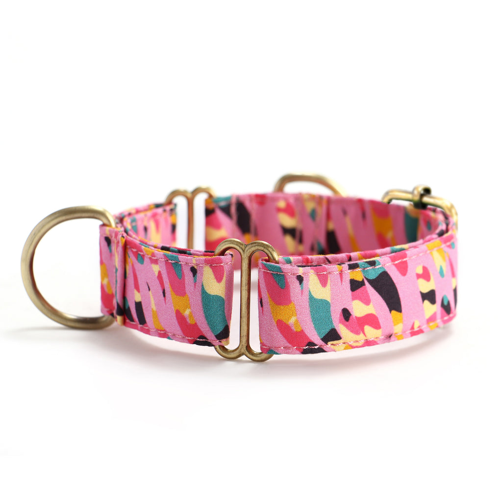 100% Cotton Martingale Dog Collar Brass  Zebra side