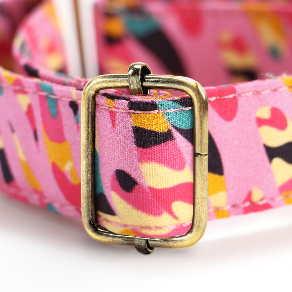 100% Cotton Martingale Dog Collar Brass  Zebra hardware