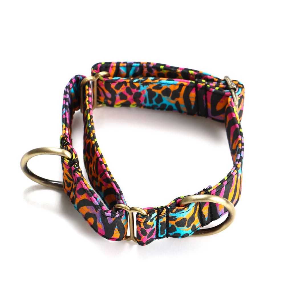 100% Cotton Martingale Dog Collar Brass   Colorful Wildlife main