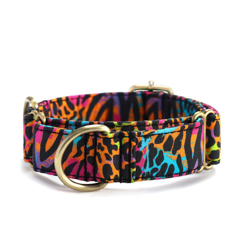 100% Cotton Martingale Dog Collar Brass   Colorful Wildlife front