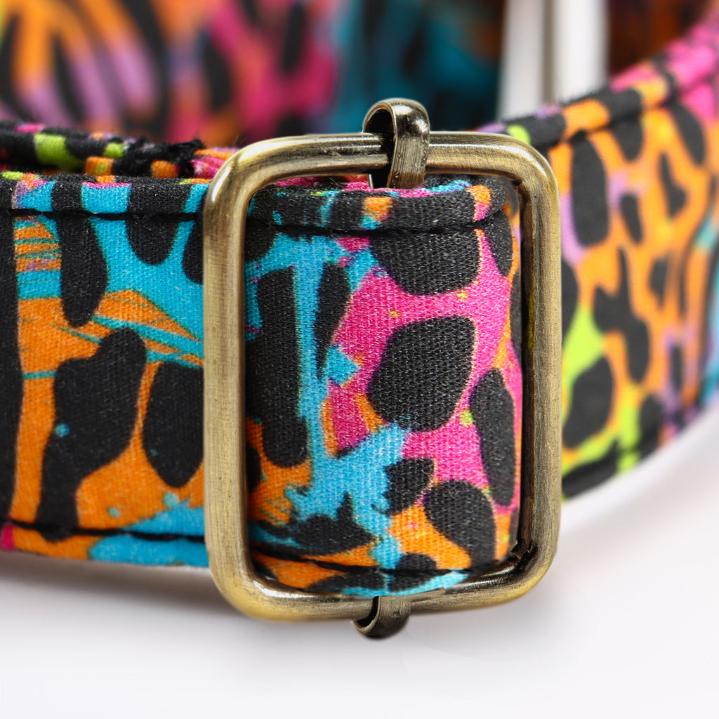 100% Cotton Martingale Dog Collar Brass   Colorful Wildlife hardware