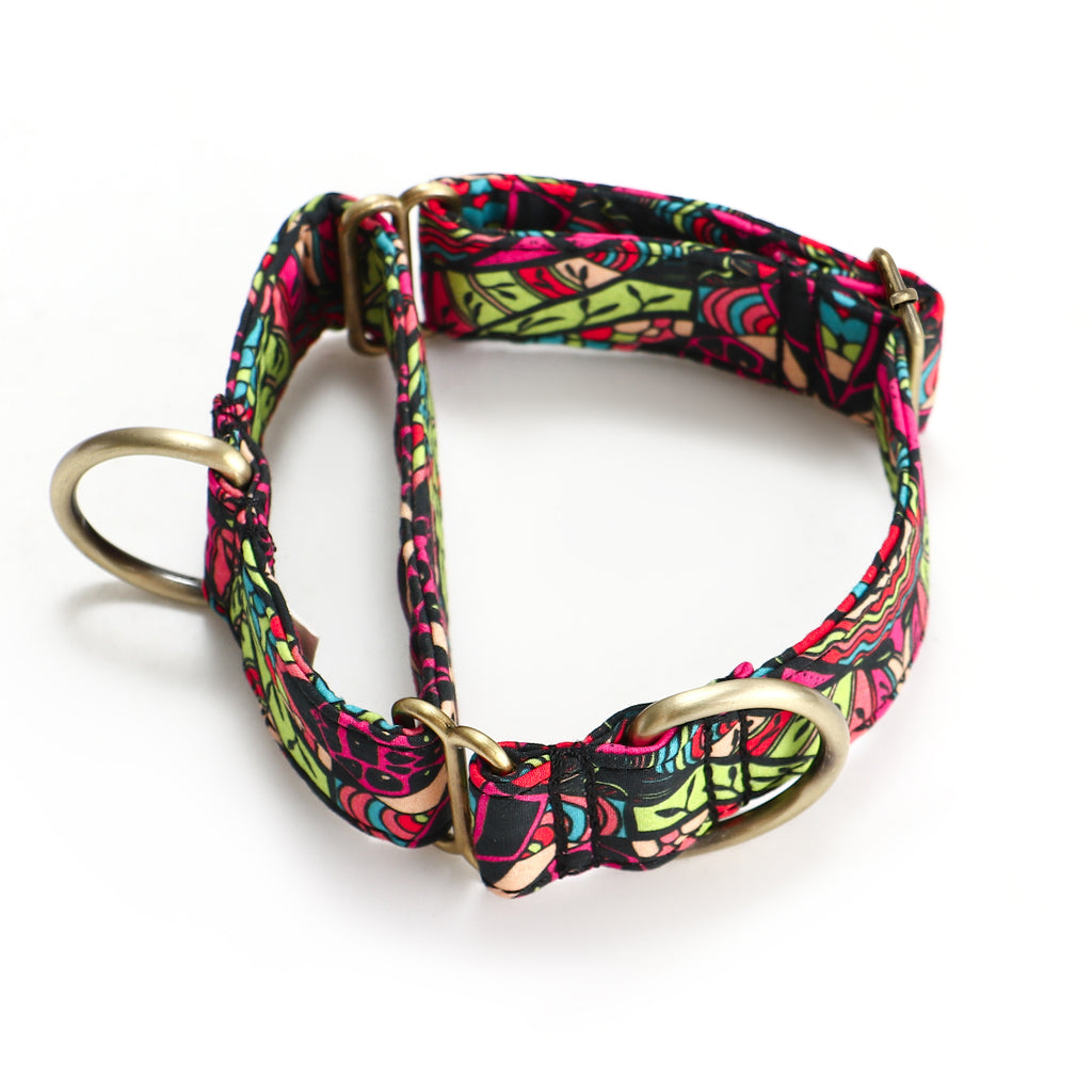 100% Cotton Martingale Dog Collar Brass  African main