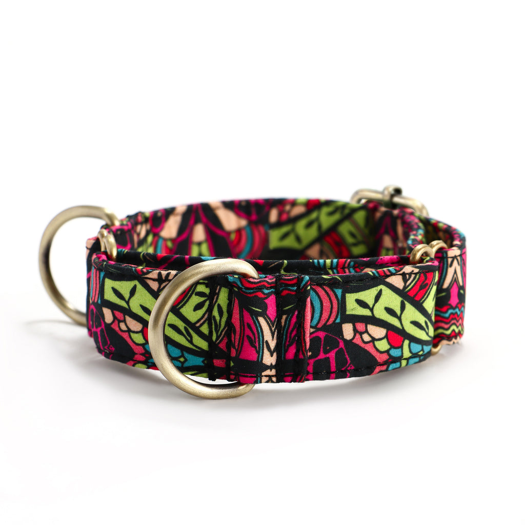 100% Cotton Martingale Dog Collar Brass  African front