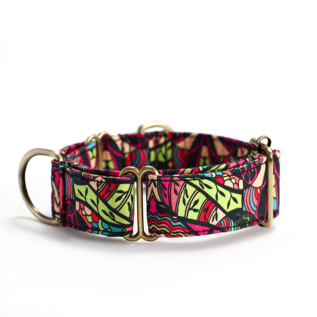 100% Cotton Martingale Dog Collar Brass  African side