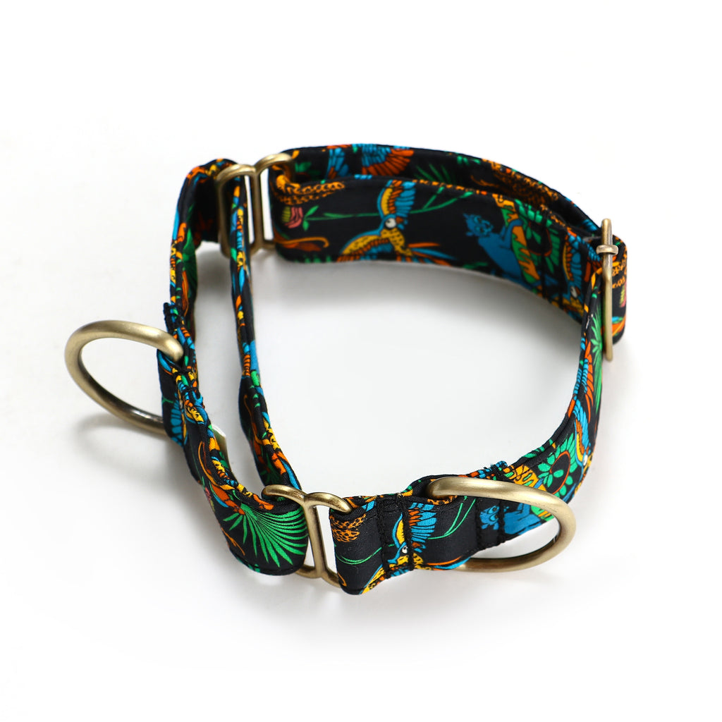 100% Cotton Martingale Dog Collar Brass Jungle main