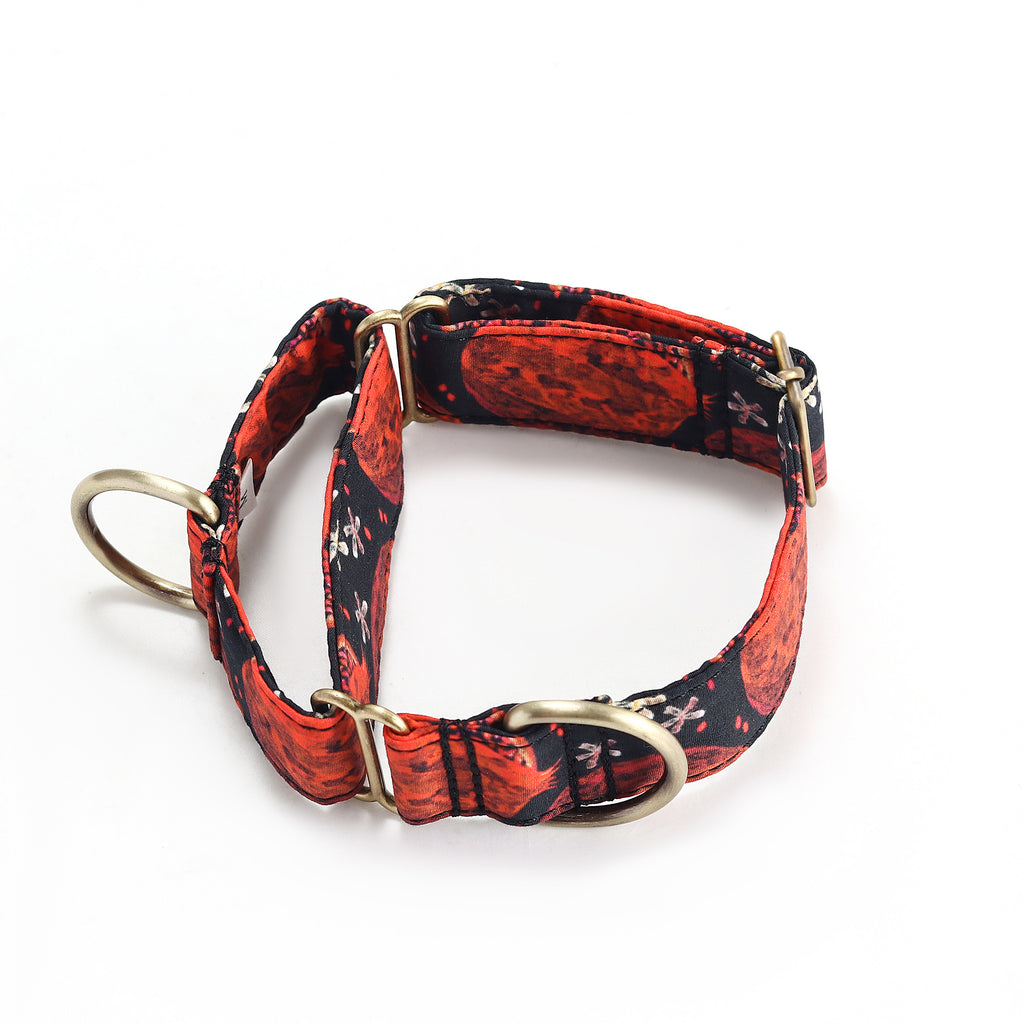 100% Cotton Martingale Dog Collar Brass   Pomegranate main