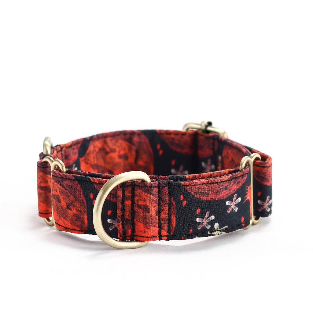 100% Cotton Martingale Dog Collar Brass   Pomegranate front