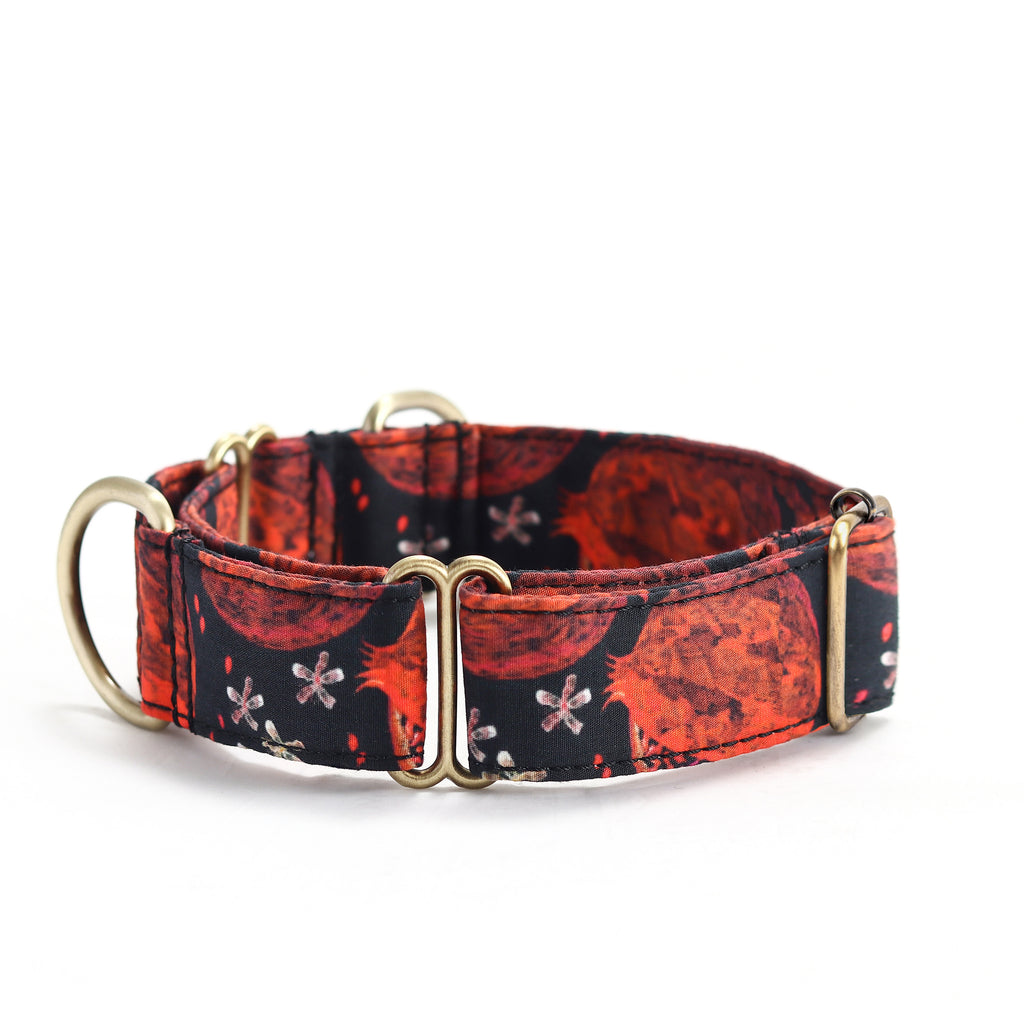 100% Cotton Martingale Dog Collar Brass   Pomegranate side