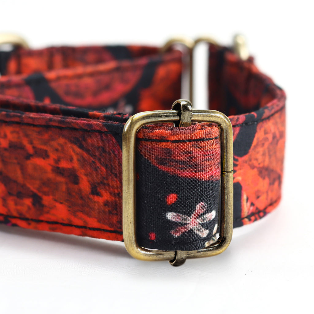 100% Cotton Martingale Dog Collar Brass   Pomegranate hardware
