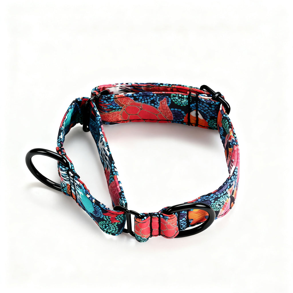 100% Cotton Martingale Dog Collar Black Seaworld main