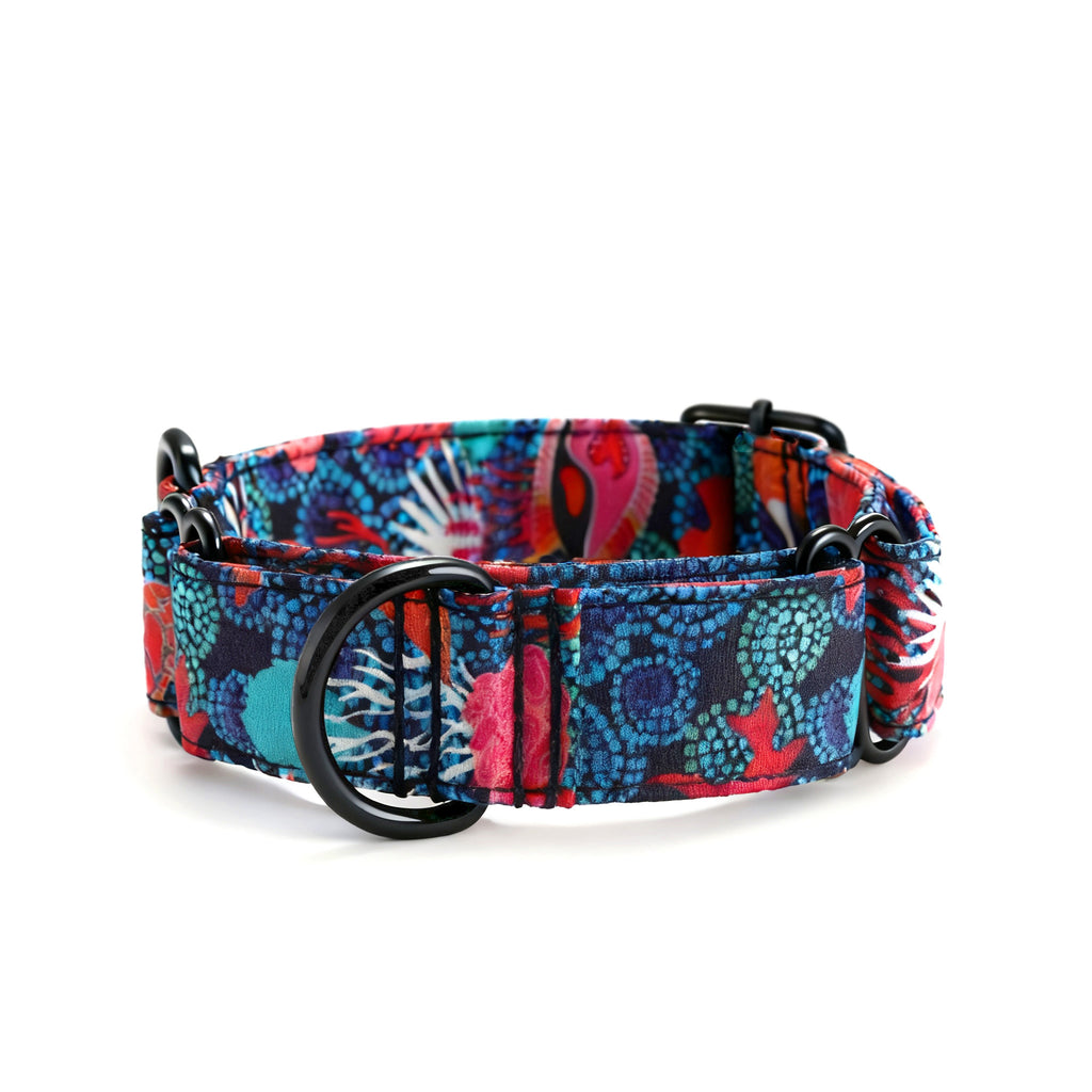 100% Cotton Martingale Dog Collar Black Seaworld front