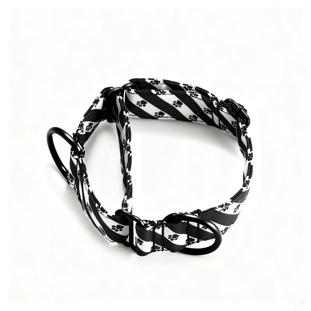 100% Cotton Martingale Dog Collar Black Puppy Paws main