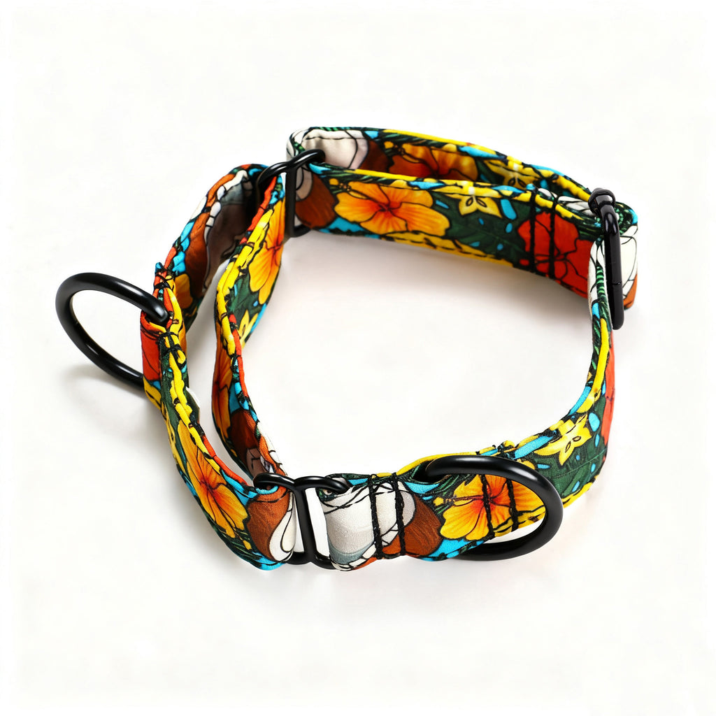 100% Cotton Martingale Dog Collar Black Coconuts main
