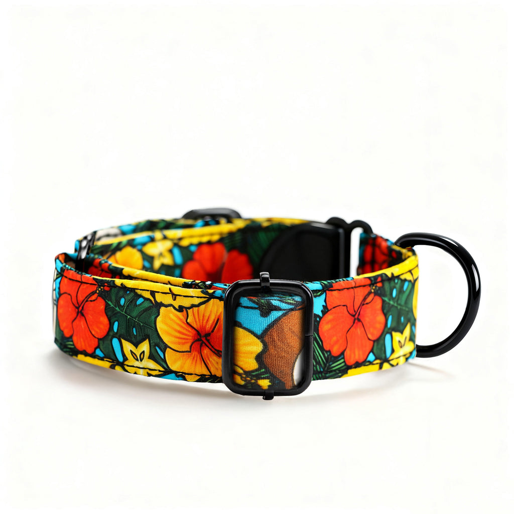 100% Cotton Martingale Dog Collar Black Coconuts side