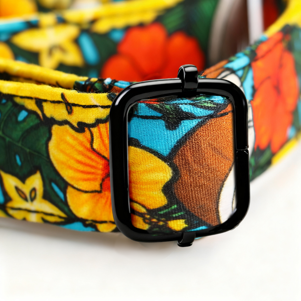 100% Cotton Martingale Dog Collar Black Coconuts hardware