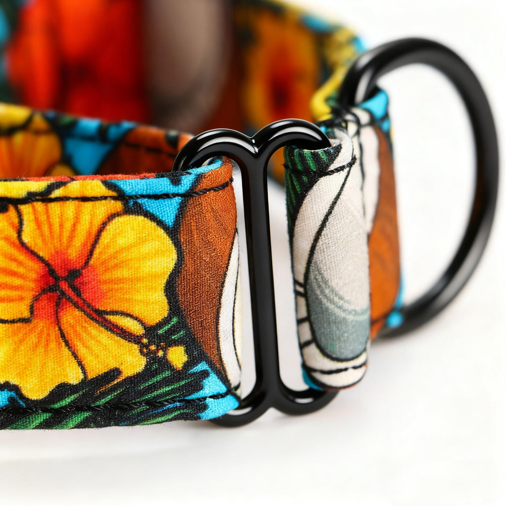 100% Cotton Martingale Dog Collar Black Coconuts detail