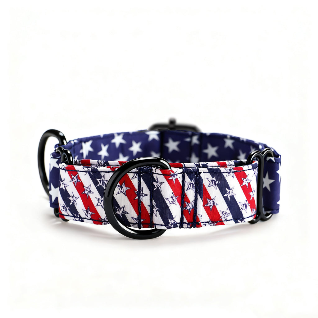 100% Cotton Martingale Dog Collar Black Stars and Stripes front