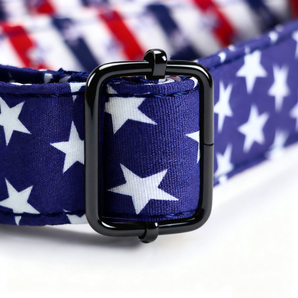100% Cotton Martingale Dog Collar Black Stars and Stripes hardware