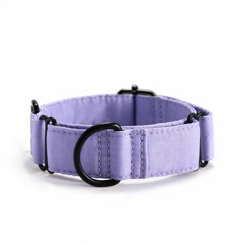 100% Cotton Martingale Dog Collar Lavender front
