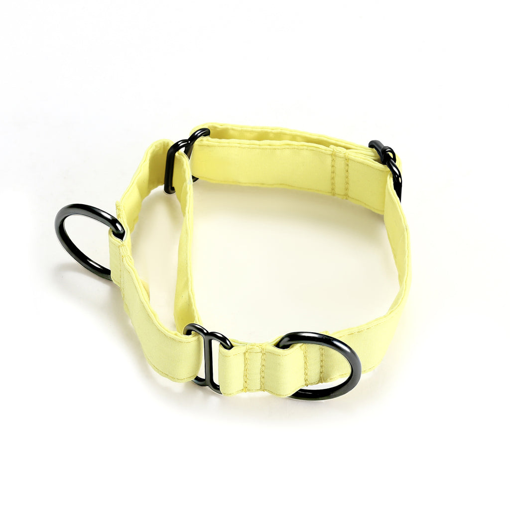 100% Cotton Martingale Dog Collar  Lemon main