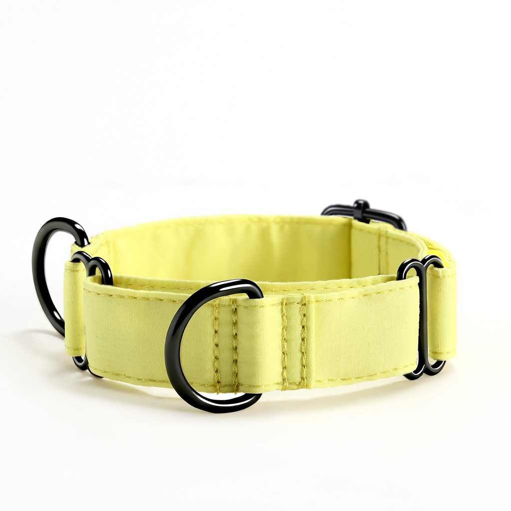 100% Cotton Martingale Dog Collar  Lemon front