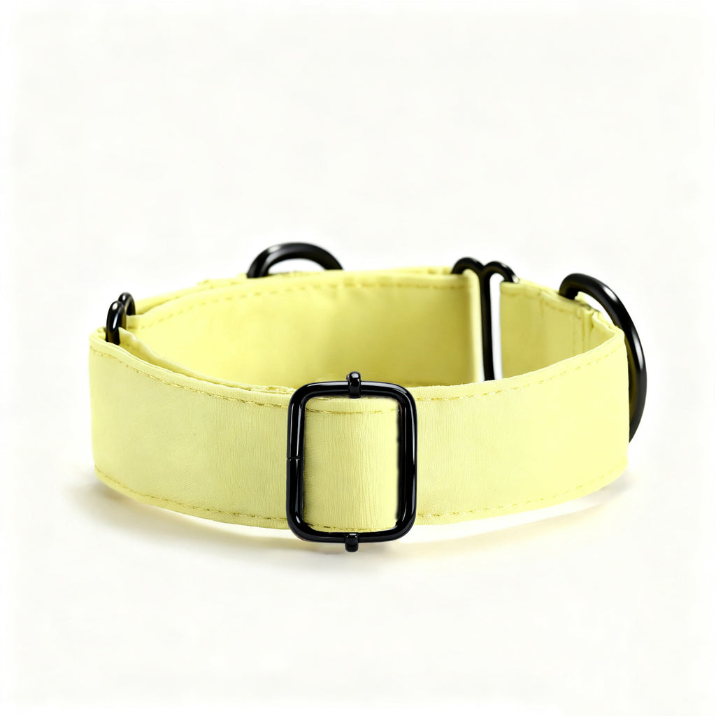 100% Cotton Martingale Dog Collar  Lemon side