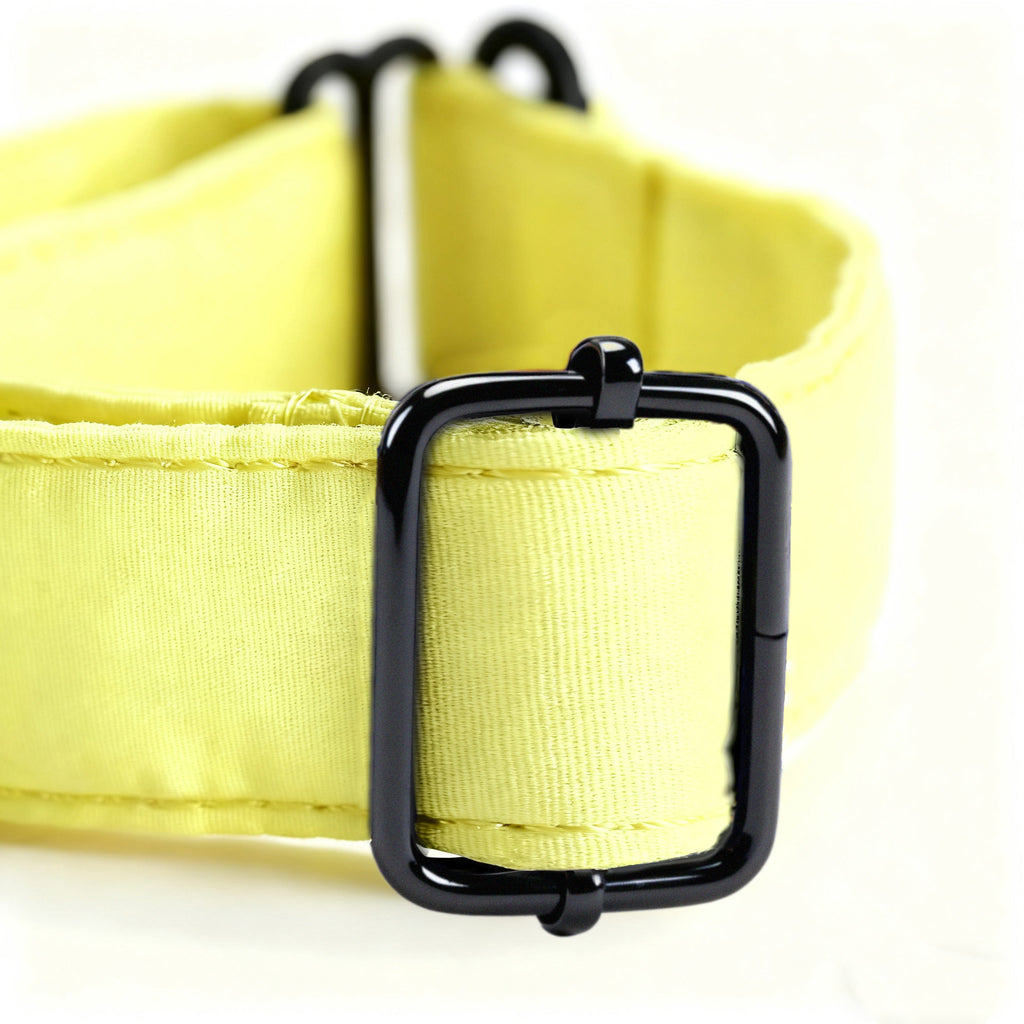 100% Cotton Martingale Dog Collar  Lemon hardware