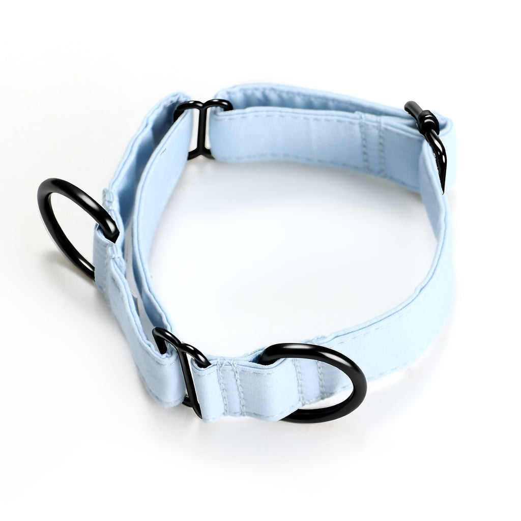 100% Cotton Martingale Dog Collar Blue main