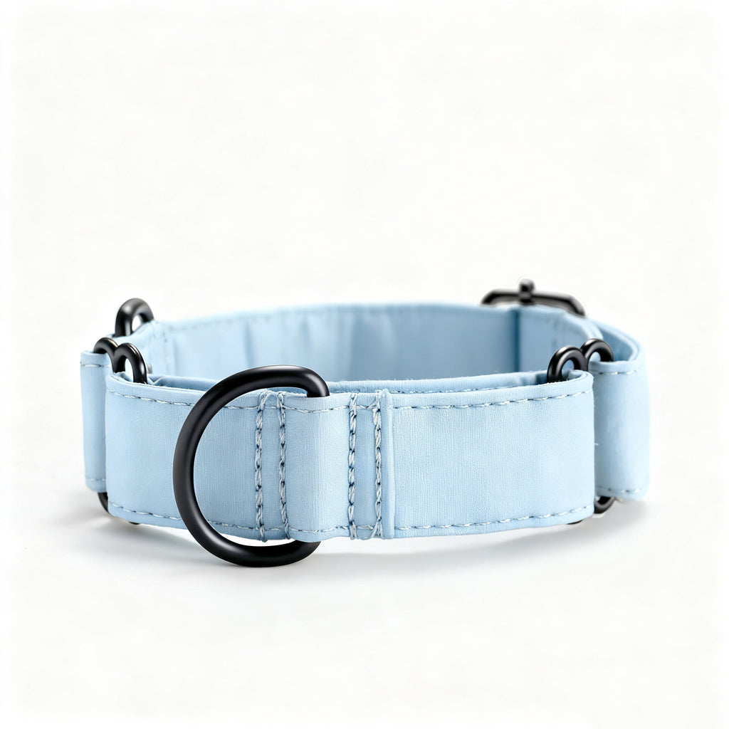 100% Cotton Martingale Dog Collar Blue front