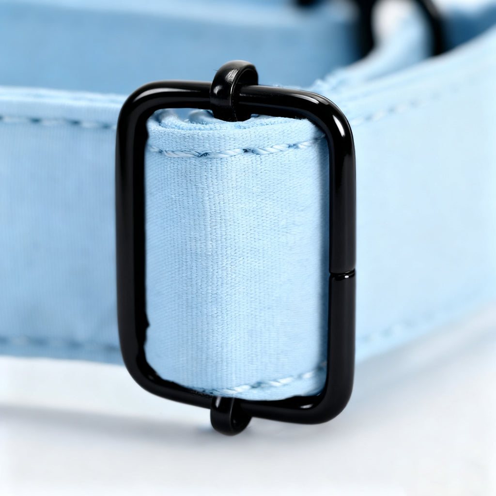 100% Cotton Martingale Dog Collar Blue hardware