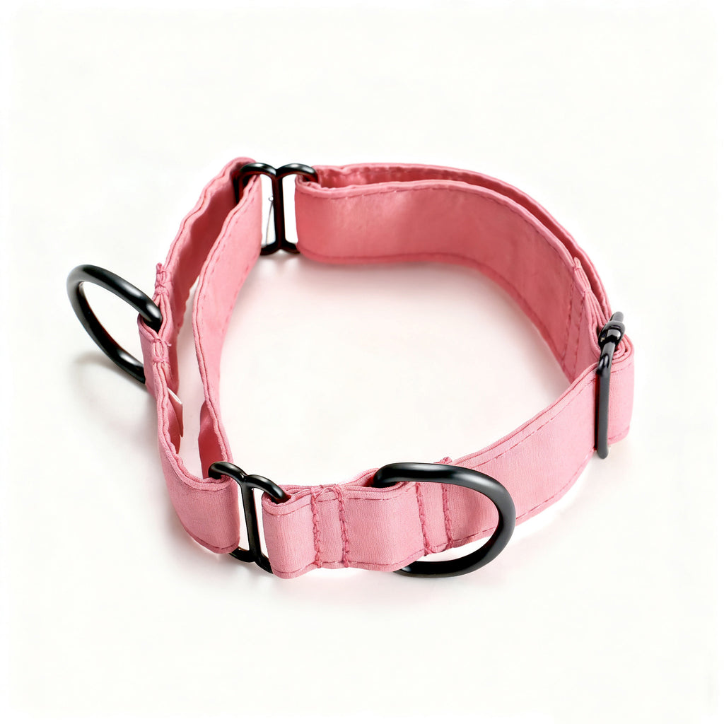 100% Cotton Martingale Dog Collar Coral main
