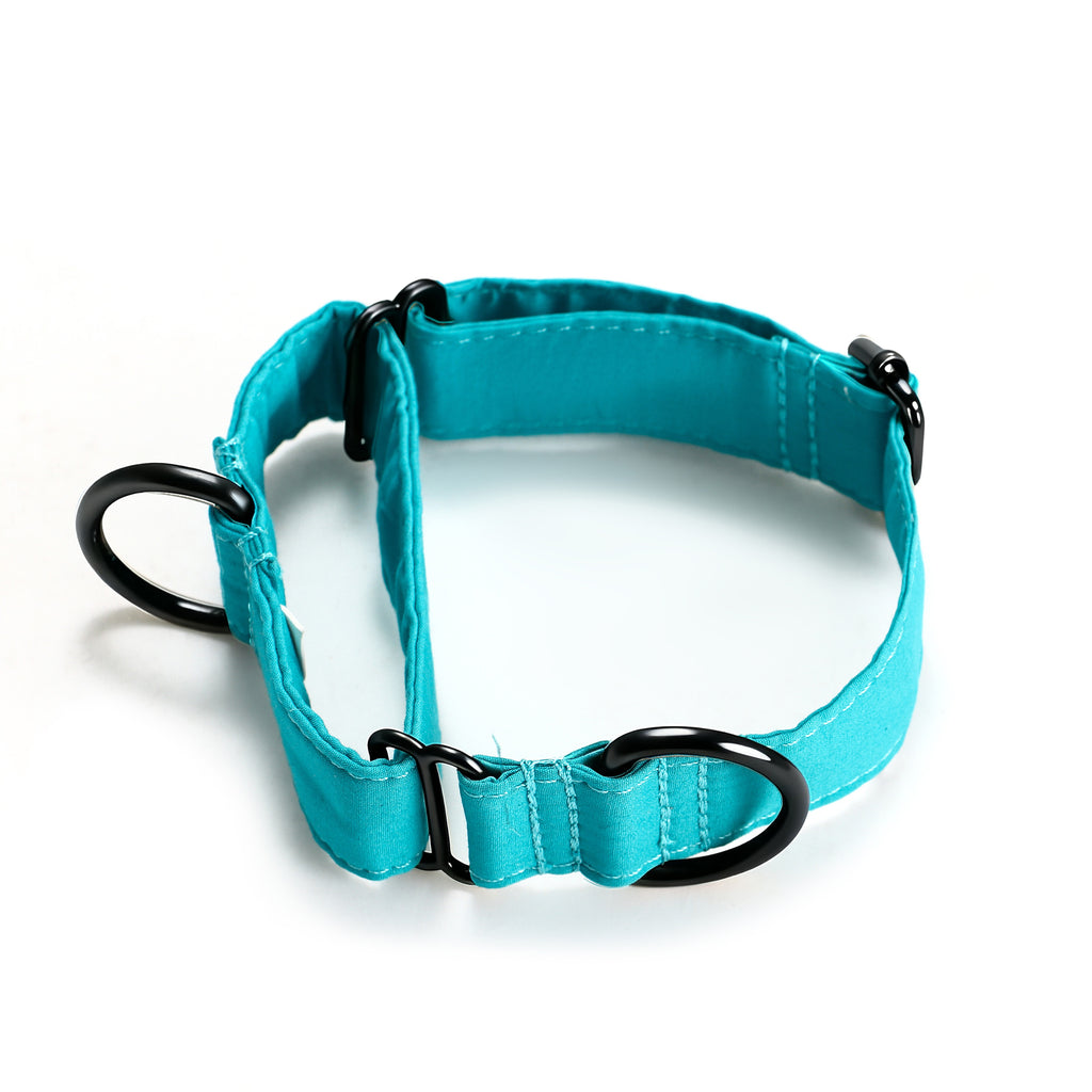 100% Cotton Martingale Dog Collar Black Peacock Blue main