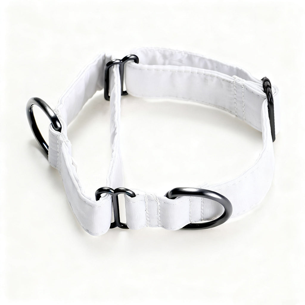 100% Cotton Martingale Dog Collar White main