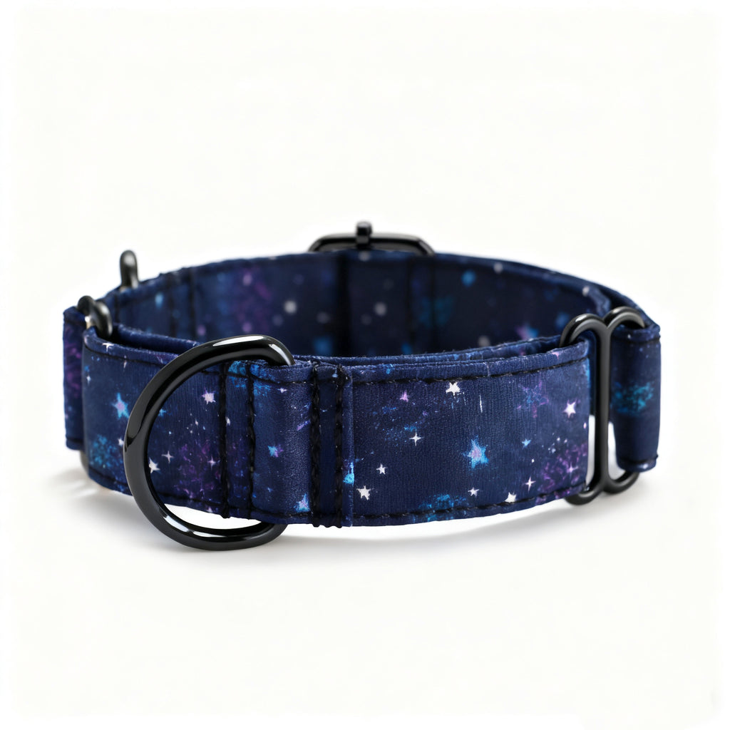 100% Cotton Martingale Dog Collar Black Galaxy Stars front