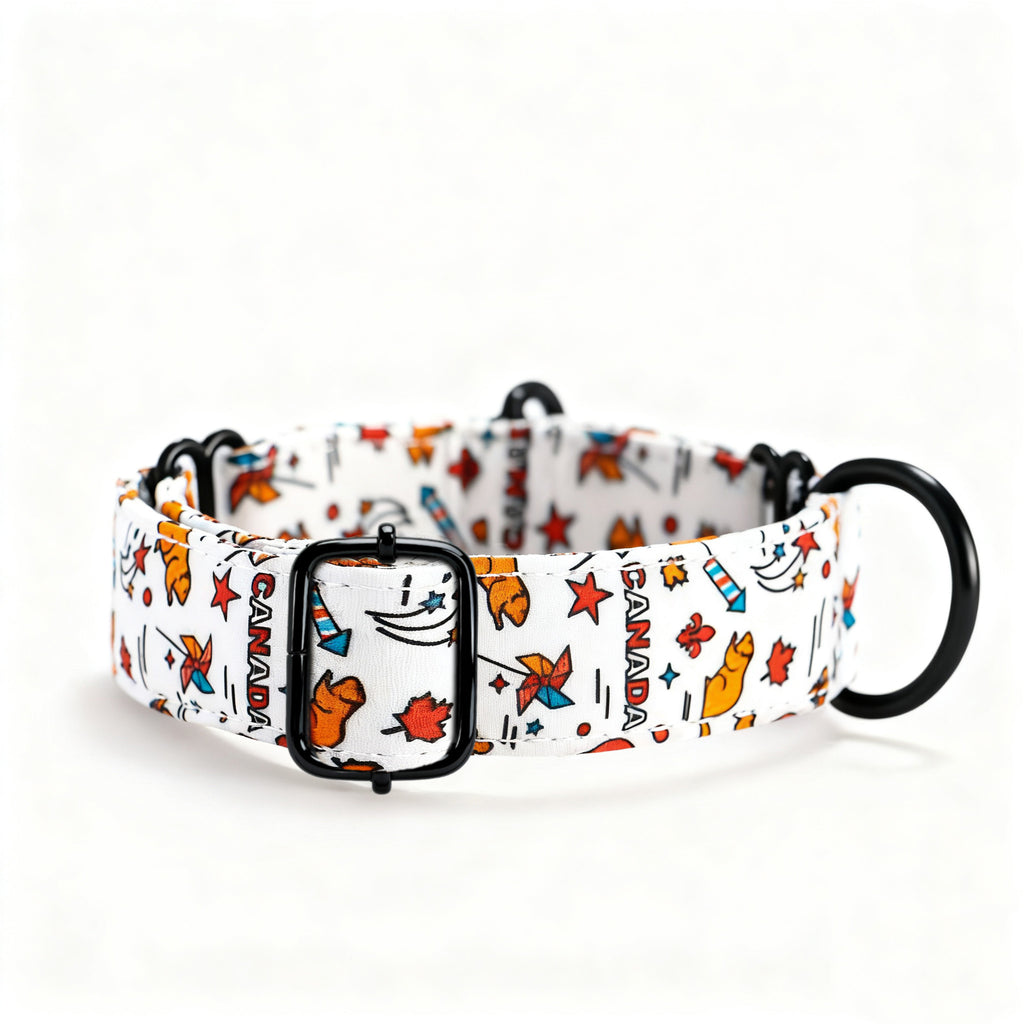 100% Cotton Martingale Dog Collar Black Love Canada side