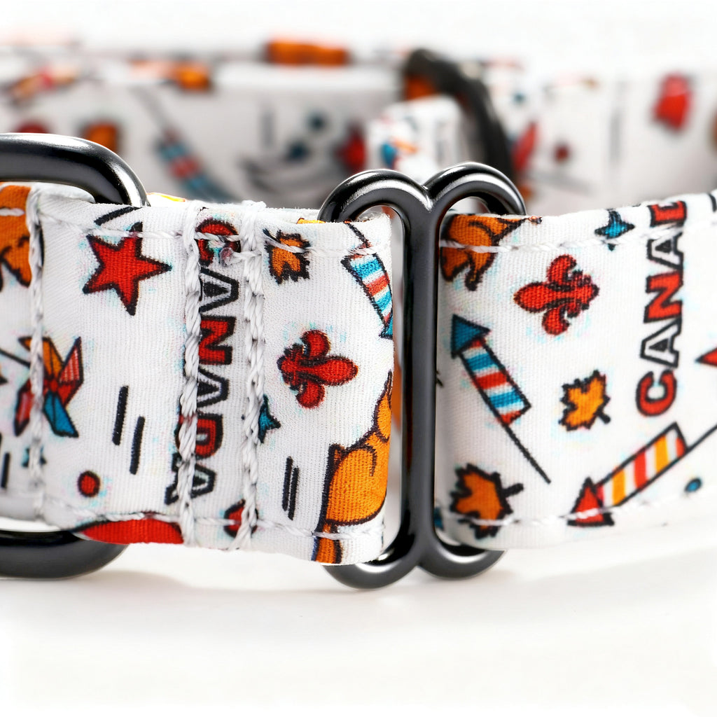 100% Cotton Martingale Dog Collar Black Love Canada detail