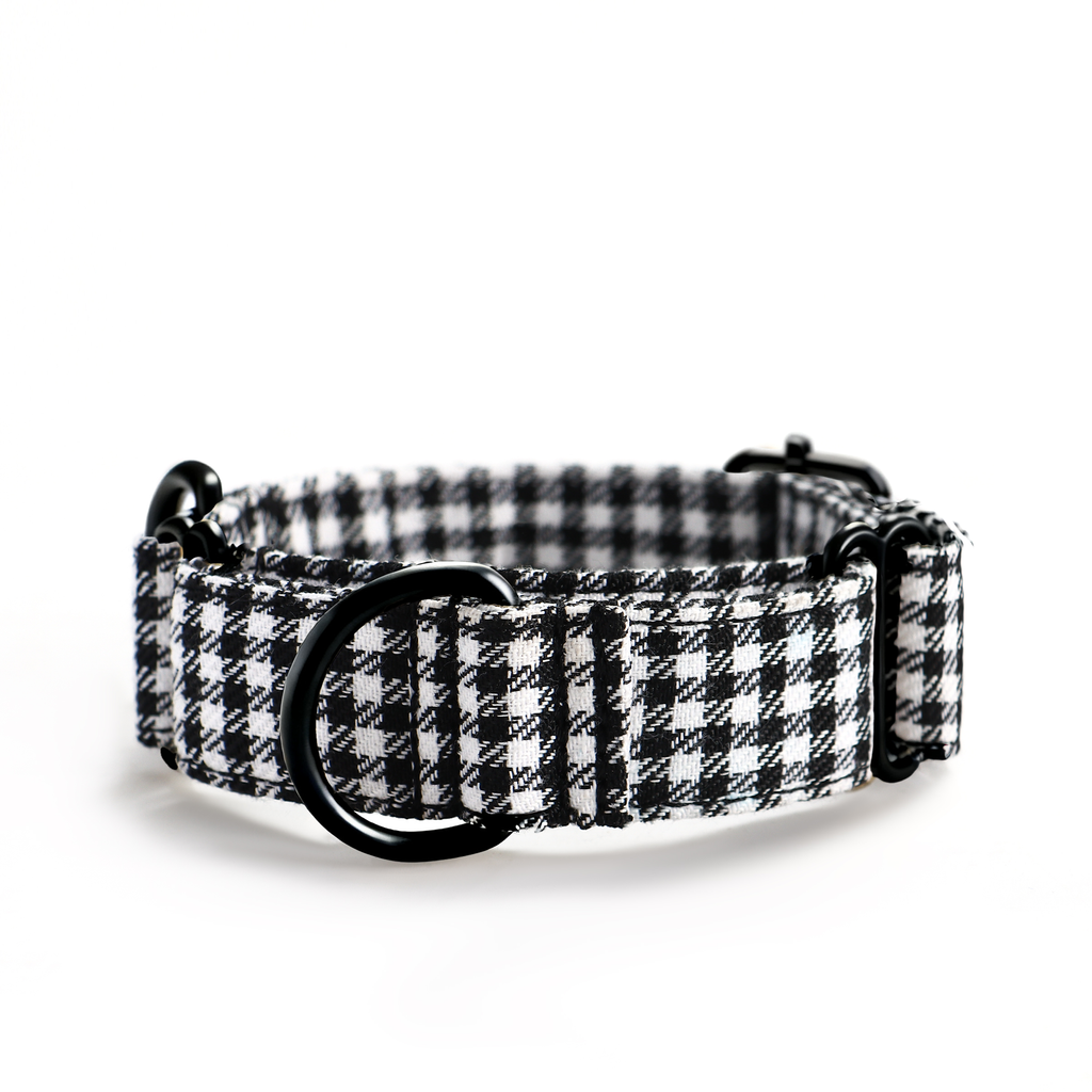 100% Cotton Martingale Dog Collar Shepherd Black & White front