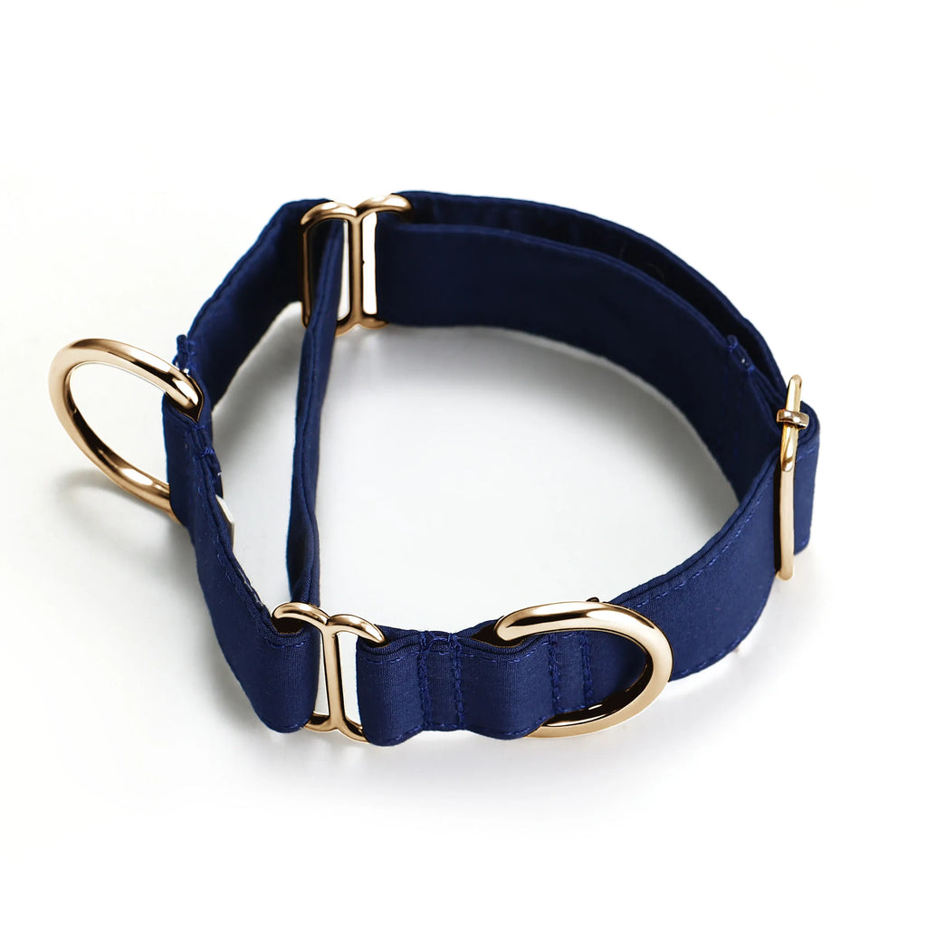 100% Cotton Martingale Dog Collar Gold Royal Blue main