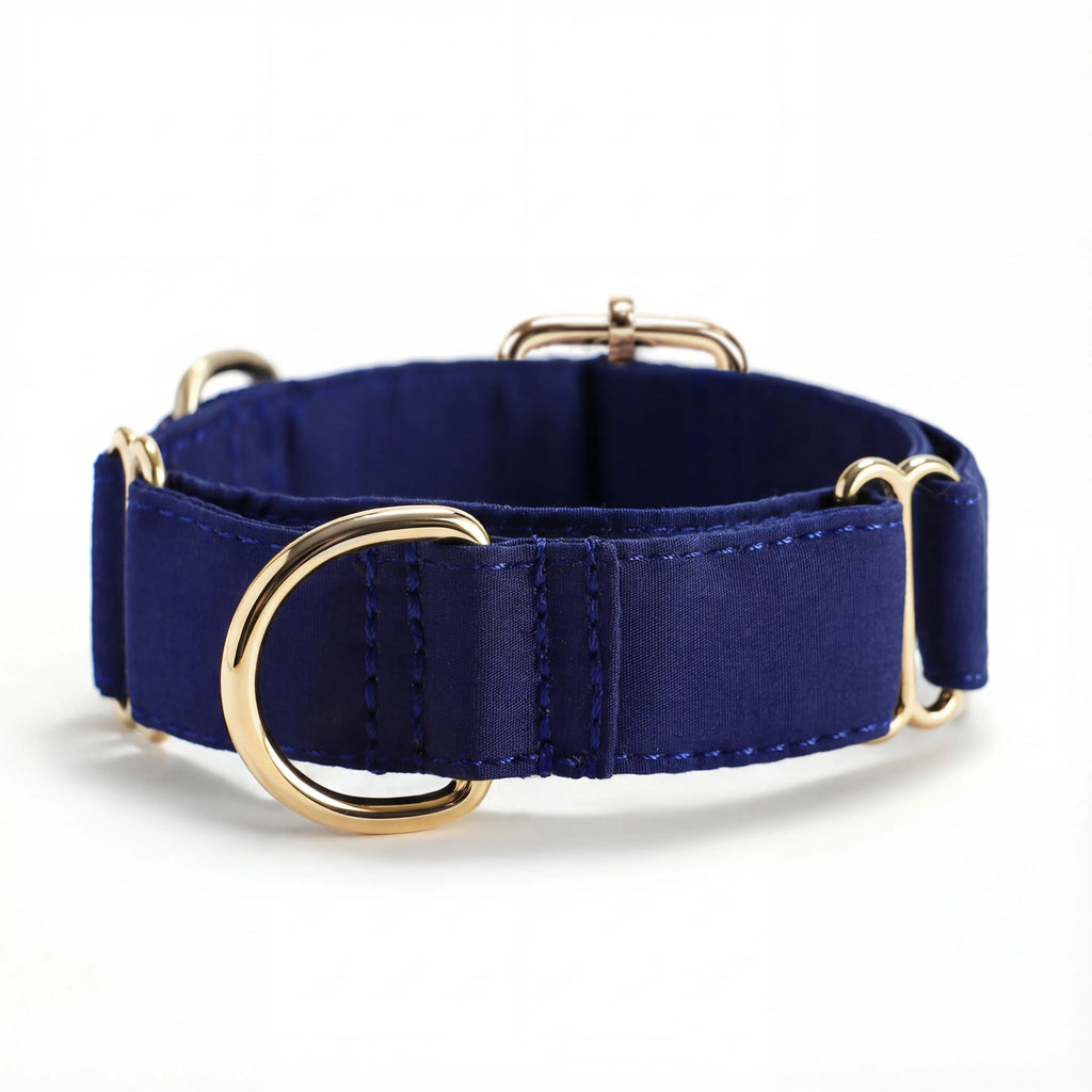 100% Cotton Martingale Dog Collar Gold Royal Blue front