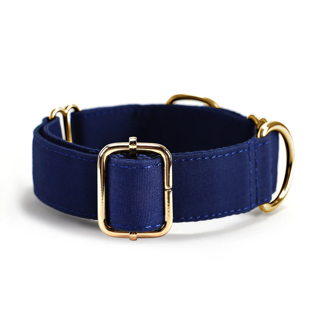 100% Cotton Martingale Dog Collar Gold Royal Blue back