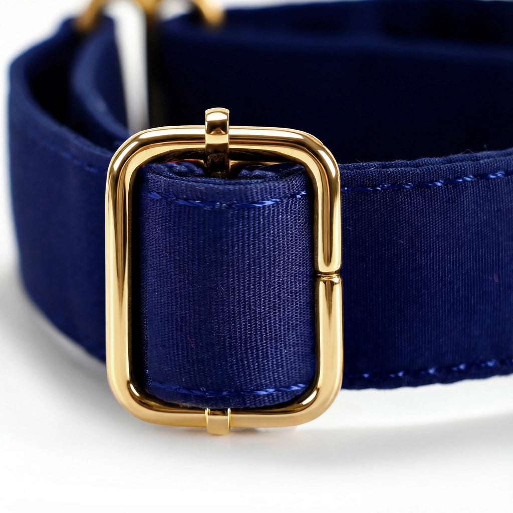 100% Cotton Martingale Dog Collar Gold Royal Blue hardware