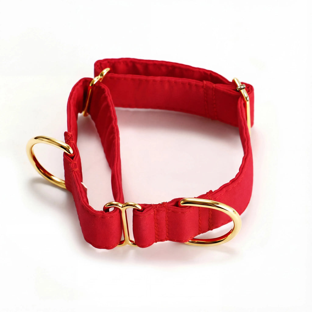 100% Cotton Martingale Dog Collar Gold Poinciana Red main