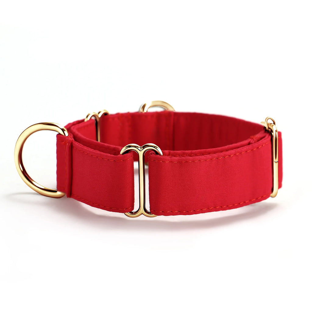 100% Cotton Martingale Dog Collar Gold Poinciana Red side