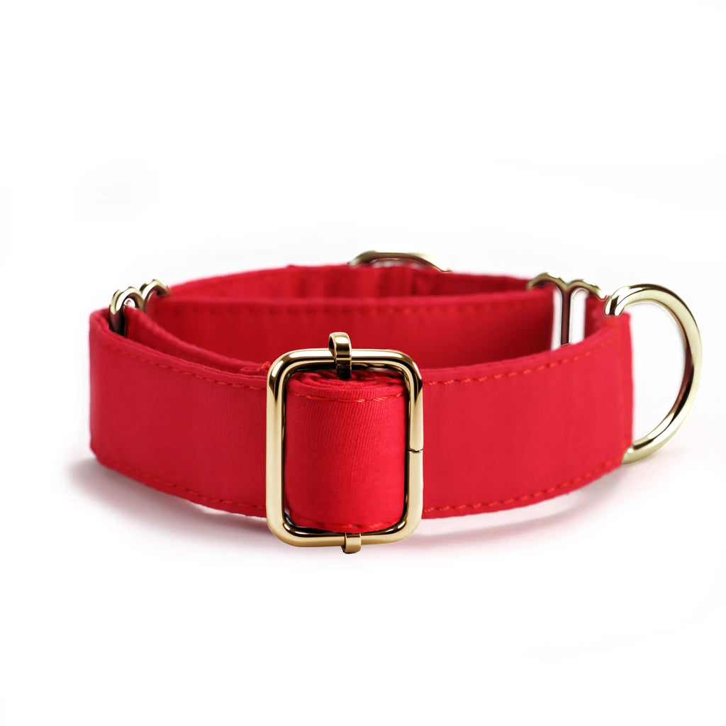 100% Cotton Martingale Dog Collar Gold Poinciana Red back