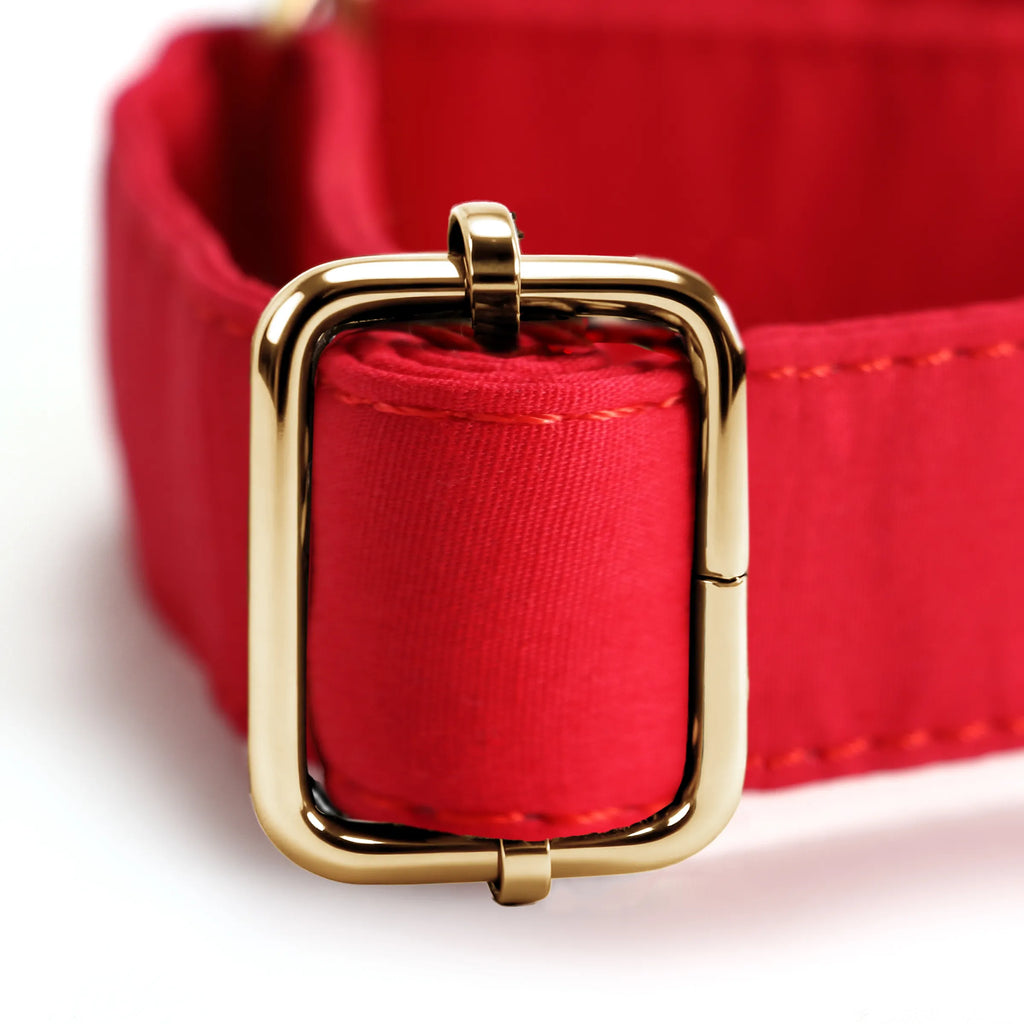 100% Cotton Martingale Dog Collar Gold Poinciana Red hardware
