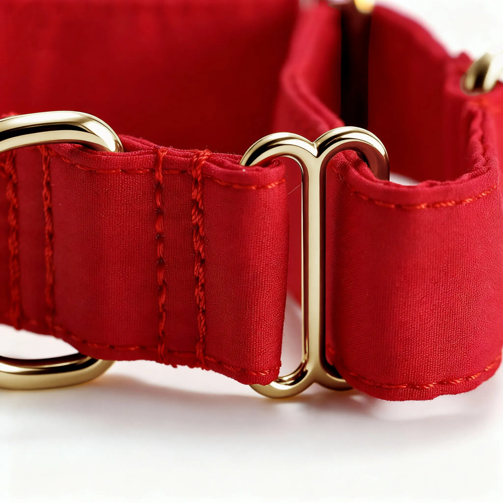 100% Cotton Martingale Dog Collar Gold Poinciana Red detail