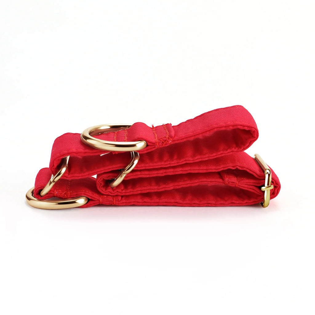 100% Cotton Martingale Dog Collar Gold Poinciana Red folded